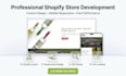 build a professional shopify store for your business