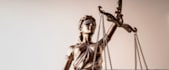 do case briefs,business law, case study, legal research and law tasks