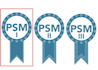 help you pass your scrum master psm I, psm ii certification