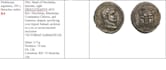 professional coin identification by expert numismatist