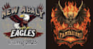 design high quality skull eagle firefighter logo