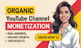 do complete youtube channel monetization promotion
