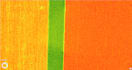 process rgb, multispectral, thermal and insta360 mapping and imaging services