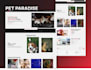 design a custom interactive apple style website