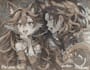 do a reference sheet of your fursona or anime character