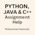 do python java  c plus plus ai assignments debugging