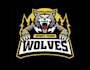 design high quality wolf mascot logo with my fastest delivery