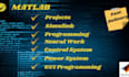 do matlab simulink, gui design and matlab programming