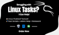 be linux and web bugs solver, fast fixes for small projects