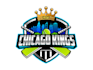 create a modern and creative cricket team logo design