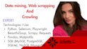 do data mining, web scrapping and crawling for you