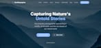 build a complete, responsive, and interactive website