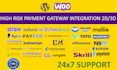 setup high risk payment gateway for online business 2d 3d