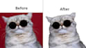 photo retouch, background removal and ai image manipulation