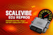 edit your ecu file for stage 1 chiptuning dpf egr adblue off