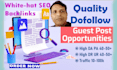 build white hat SEO backlinks on high da  DR websites
