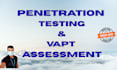 do website penetration testing with professional vapt report