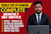 provide full SEO service monthly with white hat techniques