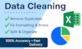 do fast and accurate data entry excxel cleaning and PDF to excel conversion