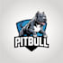 design high quality pitbull mascot logo with creative concepts
