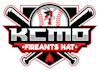 design excellent baseball logo