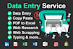 write data entry copy paste and web excel sheet
