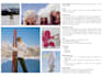 design a moodboard for new brands and creatives