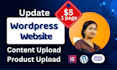 do product upload or content upload in wordpress website
