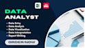 do data entry and data analysis