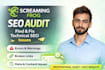 do technical screaming frog audit and fix with screaming frog audit