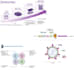 design your scientific illustrations from biorender