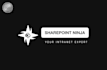 create professionally done sharepoint intranet