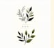 design hand drawn line art botanical bolo logo