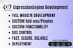 build and optimize your expressionengine website as expressionengine expert