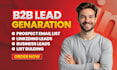 do offer targeted b2b leads generation and linkedin email leads for any industry
