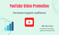 do youtube video promotion