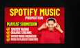setup paid ads campaign for your spotify music promotion