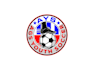create professional and specially soccer  logo design