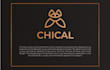 design a clean and premium logo