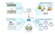 do scientific and biological illustrations