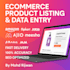 ecommerce product listing and data entry for amazon flipkart
