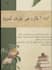 write and format a professional ebook