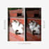 color correction and natural photo enhancement