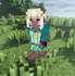make you a minecraft skin