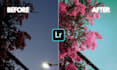 professionally color grade your photos using lightroom