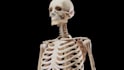 create accurate 3d medical animations for education and healthcare