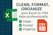 professional excel and CSV data cleaning ,formatting