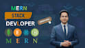 develop a custom mern stack website for your business