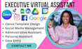 virtual assistant for executive web research data entry blog or product upload