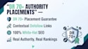 offer guest post services with premium guest post backlinks
